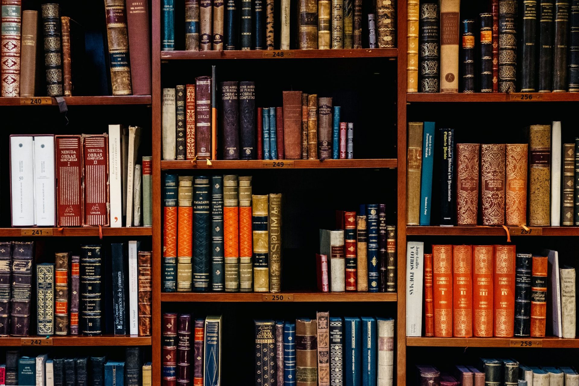 Shelves full of books