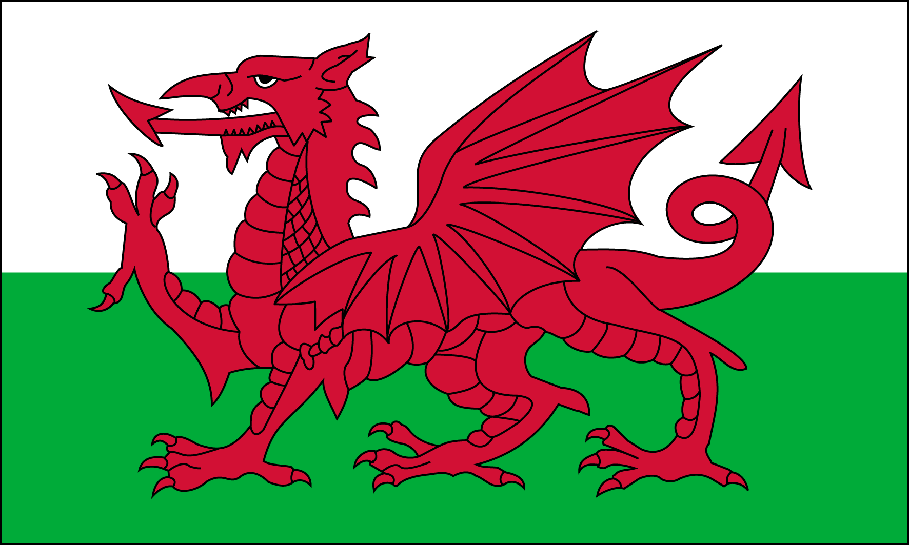 The red dragon